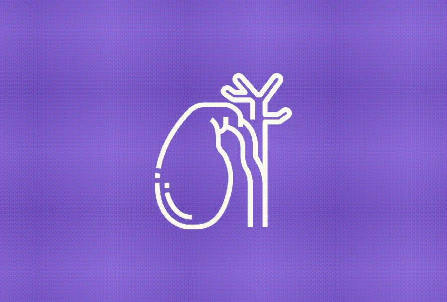 کیسه صفرا