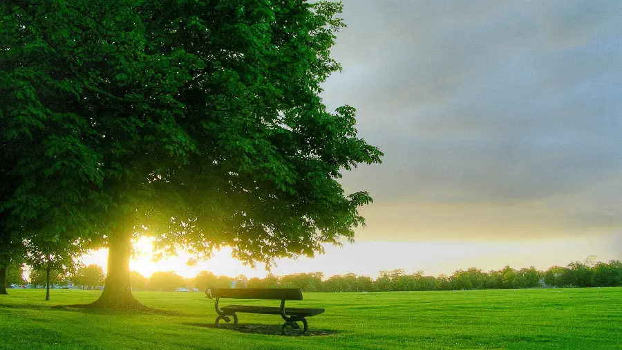 عکس بهاری حرفه ای قشنگ برای استوری و پست اینستاگرام