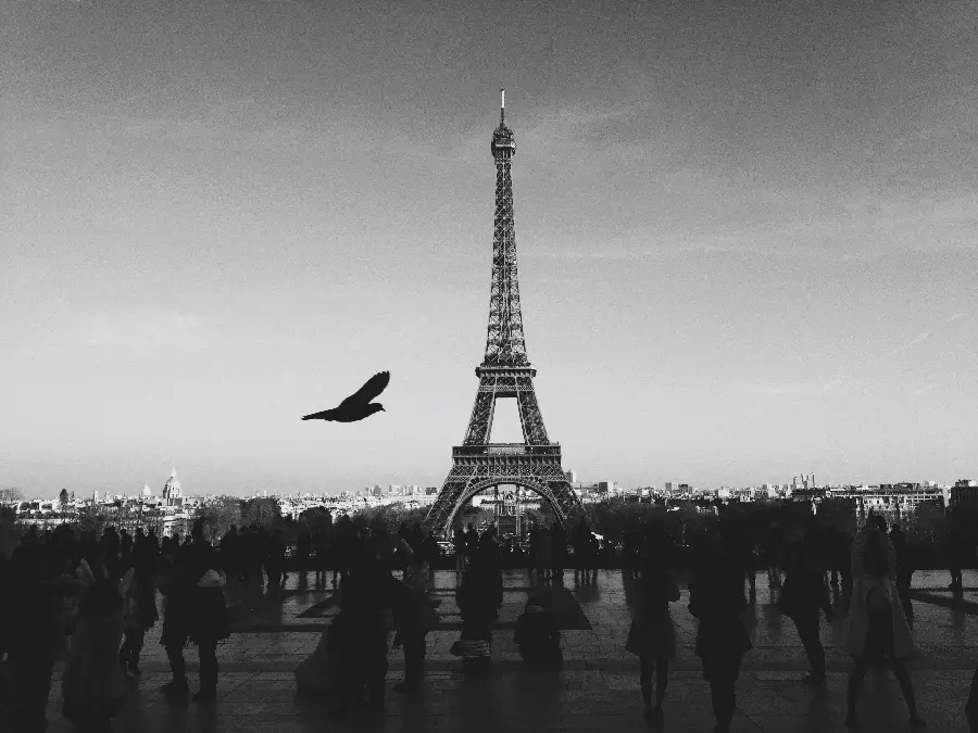 دانلود عکس سیاه سفید برج ایفل برای پروفایل واتساپ و تلگرام