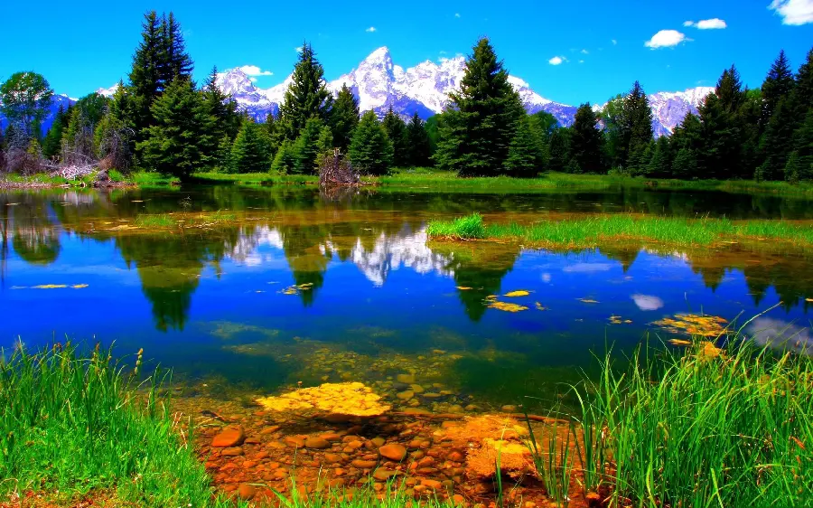 دانلود رایگان Background مناظر خوشگل مناسب گوشی