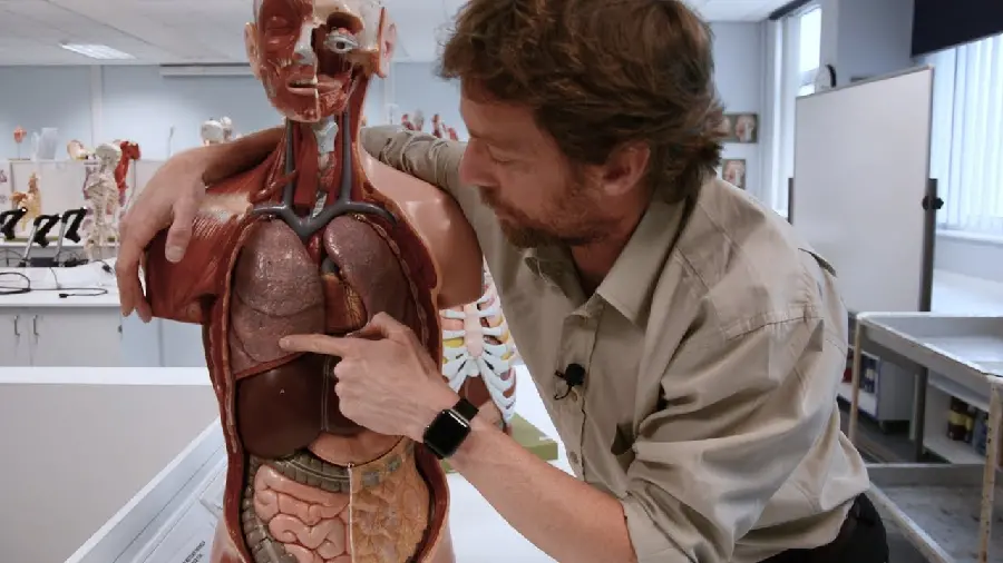 عکس تشریح ریه انسان توسط دکتر متخصص