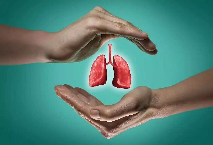 عکس ریه انسان مناسب برای روز جهانی ریه