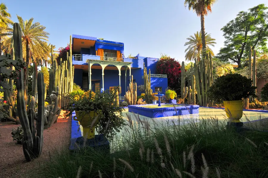 عکس باغ ماژورل مراکش با گیاهان عجیب در کیفیت 4K