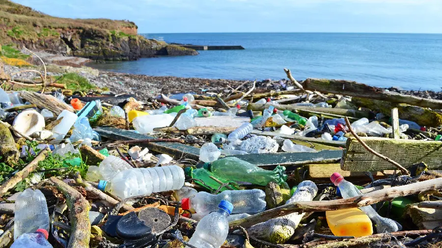 عکس تعجب آور زباله های پلاستیکی در ساحل که تصورش را نمی کنید 