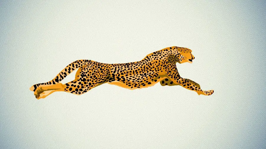 تصویر زمینه گرافیکی از یوزپلنگ وحشی برای دسکتاپ