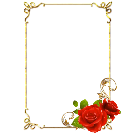 چاپ پوستر کادر برای ادیت عکس تولد با طراحی ظریف و گل های قرمز در گوشه