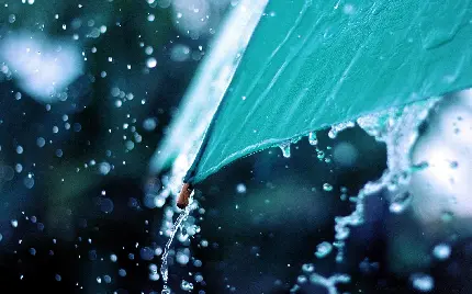 تصویر جالب چتر آبی زیر بارش باران در فصل بهار سبز