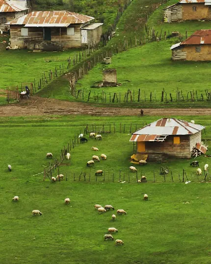 عکس جاده شمال تو ماشین