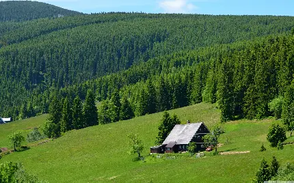 عکس پروفایل طبیعت و جنگلهای جمهوری چک