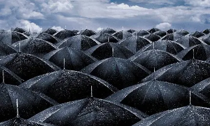 پردانلود ترین نقاشی مفهومی باران روی چتر های مشکی