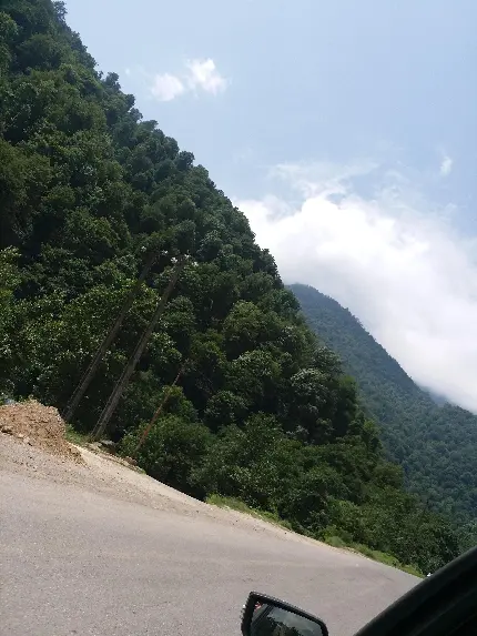 عکس جاده شمال تو ماشین