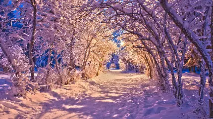 عکس منظره زمستانی برای پروفایل با کیفیت HD زیبا با سوژه چشم نواز