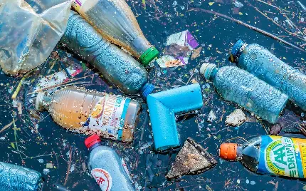 تصویر تاسف بار زباله های مختلف در ساحل دریا برای استوری