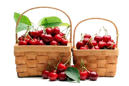 New Background Of Cherries In Baskets 