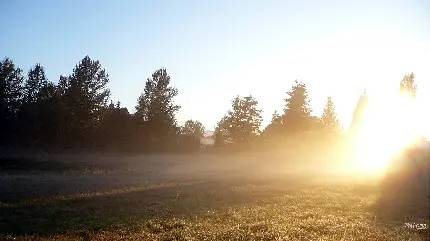 عکس طلوع خورشید برای استوری