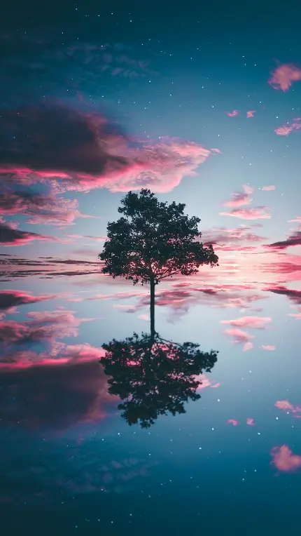 عکس تک درخت تنها در دریاچه ای زلال و شفاف برای پروفایل