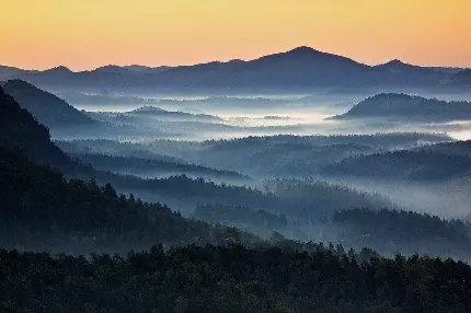 عکس رویایی از جنگلهای جمهوری چک
