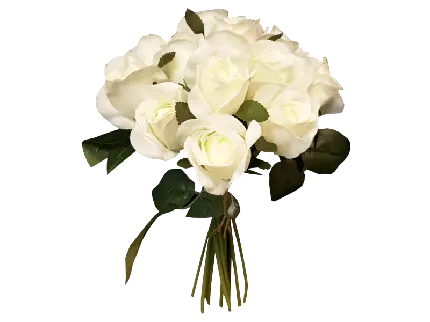 چاپ قاب موبایل و گوشی دانلود png دسته گل سفید رویایی برای طراحی سایت