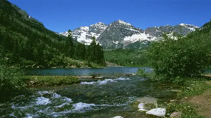 طبیعت دلپذیر درون جنگل با نمای کوه و جنگل و رودخانه