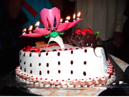 تصویر کیک تولد شیک با شمع بازشو صورتی با کیفیت عالی