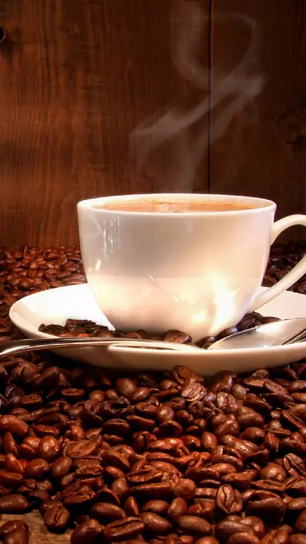 تصویر فنجان قهوه میان دانه های طبیعی قهوه برای استوری
