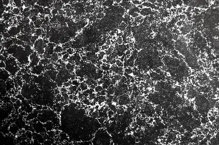 دانلود رایگان متریال سیاه سفید سنگ گرانیت یا Granite Texture 