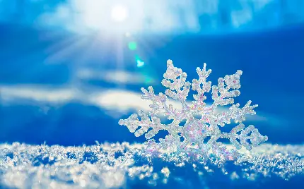 عکس دانه برف واقعی برای پروفایل زمستونی بسیار زیبا و حیرت انگیز