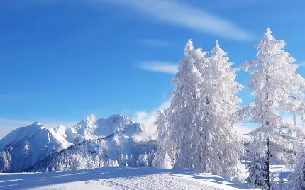 عکس زمستان برفی 2023 با کیفیت HD