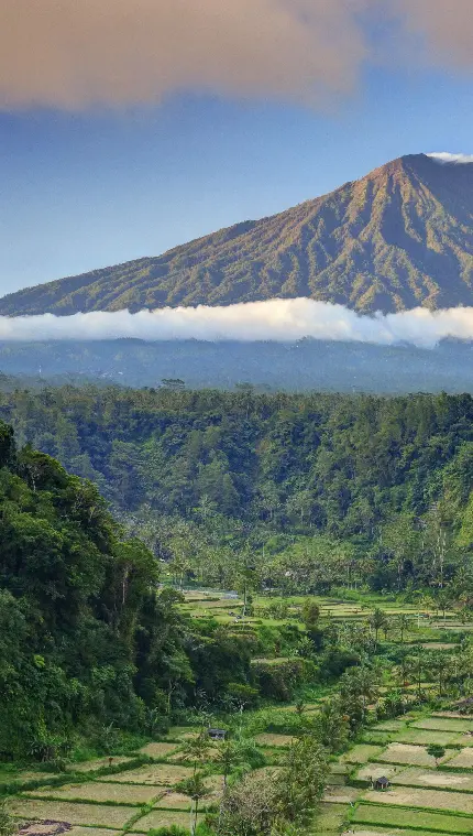 زیباترین Wallpaper طبیعت بکر و سبز بالی برای موبایل