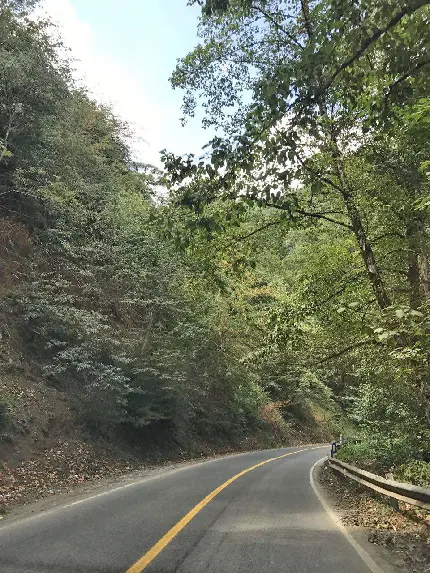 عکس جاده شمال تو ماشین