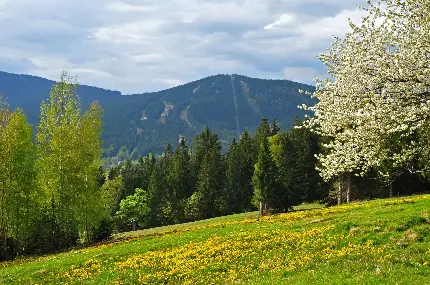 عکس 4K و لاکچری طبیعت جمهوری چک