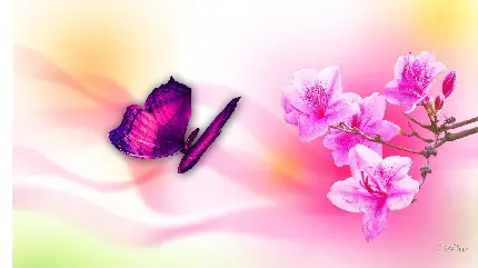 نقاشی گرافیکی گل و پروانه خوش رنگ برای پروفایل