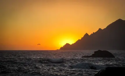 دانلود عکس full hd از طبیعت غروب خورشید پشت صخره های دریا برای پروفایل 