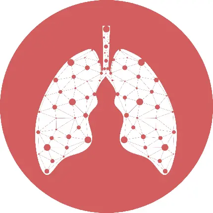 عکس پروفایل ریه و دستگاه تنفسی برای پزشک ها و متخصص ها