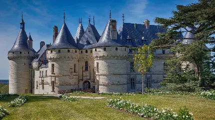 تصویر قلعه خوشگل در طبیعت سرسبز برای والپیپر 