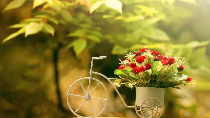 عکس دسته گل زیبا در گلدان کیوت طرح دوچرخه برای پروفایل