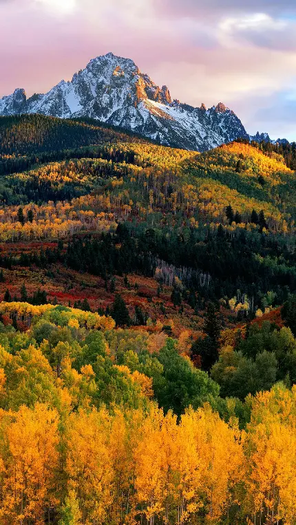 والپیپر طبیعت کوهستانی سرسبز و رنگارنگ برای زمینه گوشی Full Hd