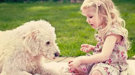 عکس دختر بچه خوشگل در حال بازی کردن با سگش