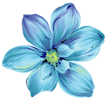 تصویر پی ان جی از گل آبی با کیفیت خیلی خوب