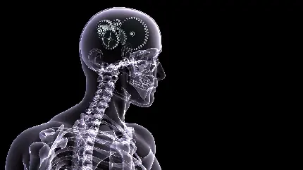 تصویر 4K فانتزی از رادیولوژی مغز چرخ دنده ای در انسان