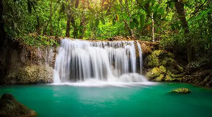 آبشار منتهی به رودخانه خوشرنگ در جنگل در یک قاب هنری 