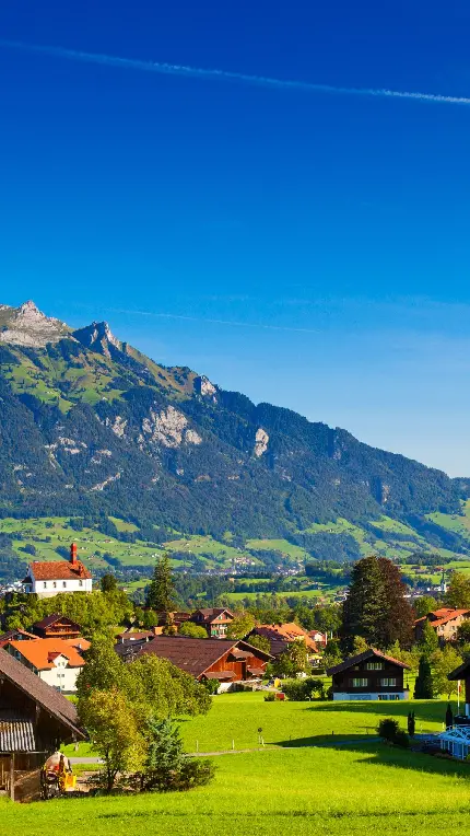 تصویر منحصر به فرد طبیعت سبز سوئیس برای اینستاگرام
