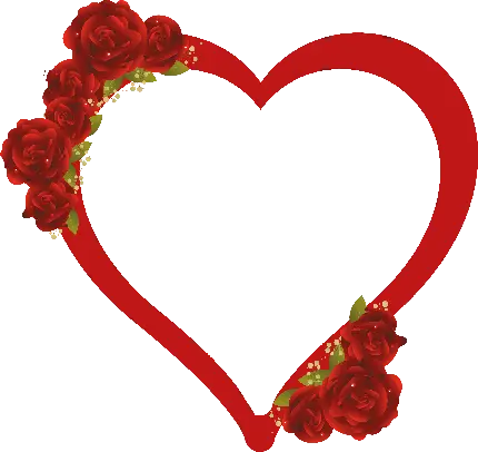 عکس عاشقانه قلب PNG با تزیین گل های قرمز لطیف فانتزی
