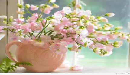والپیپر شکوفه های بهاری در گلدان