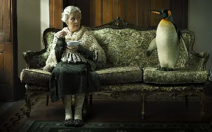 تصویر Full HD باحال از پنگوئن و مادربزرگ در خانه