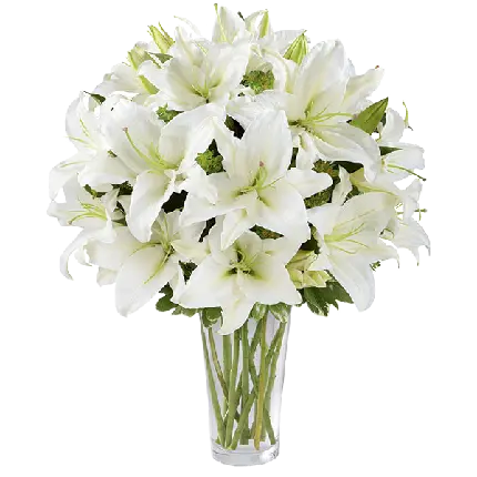 تصویر png با کیفیت دسته گل سوسن یا لیلیوم سفید