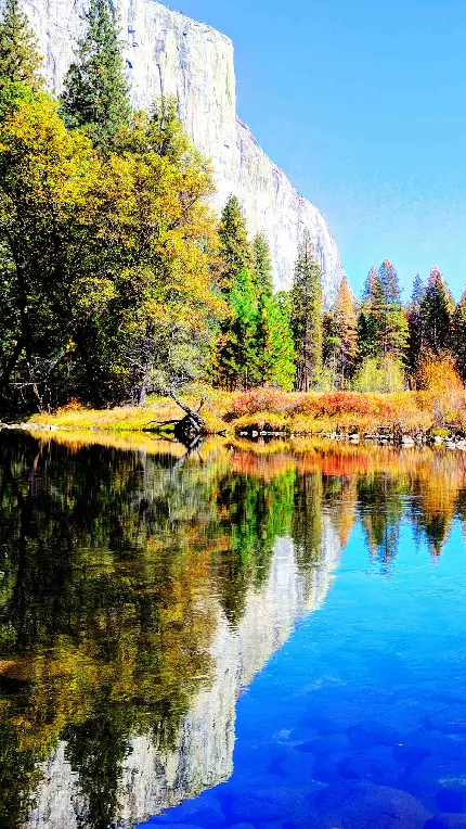 والپیپر طبیعت زرد رنگ پاییزی و زیبا در کنار دریاچه آبی رنگ