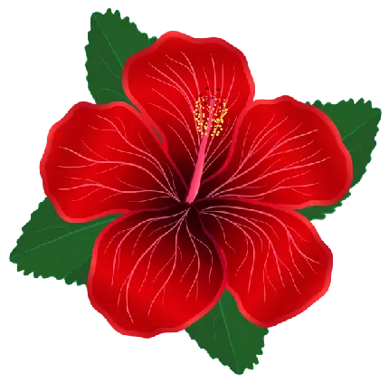گل قرمز png با برگهای سبز دوربری شده با کیفیت بالا