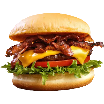 همبرگر داغ و لذیذ در یک قاب گرافیکی بدون زمینه HD