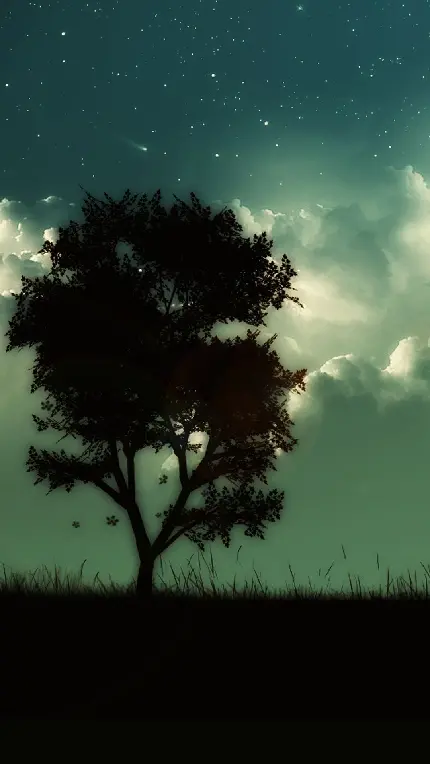 تصویر زمینه تک درخت سرسبز تنها و آسمان خوشرنگ درخشان 